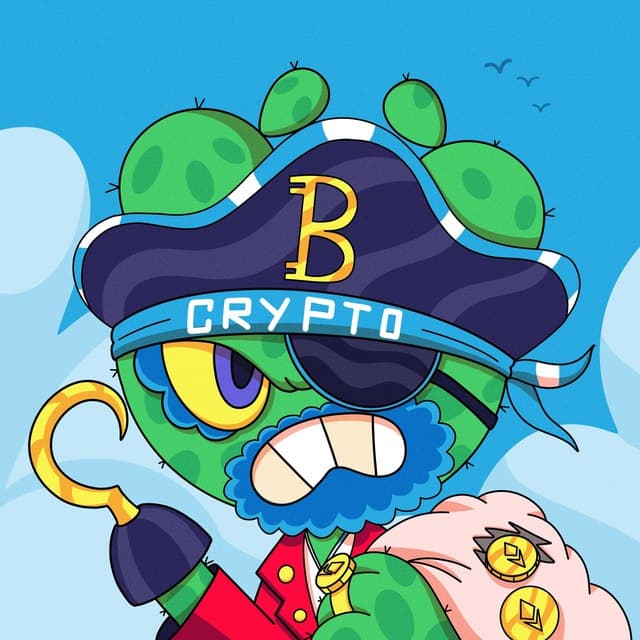 CryptoHub Pirate